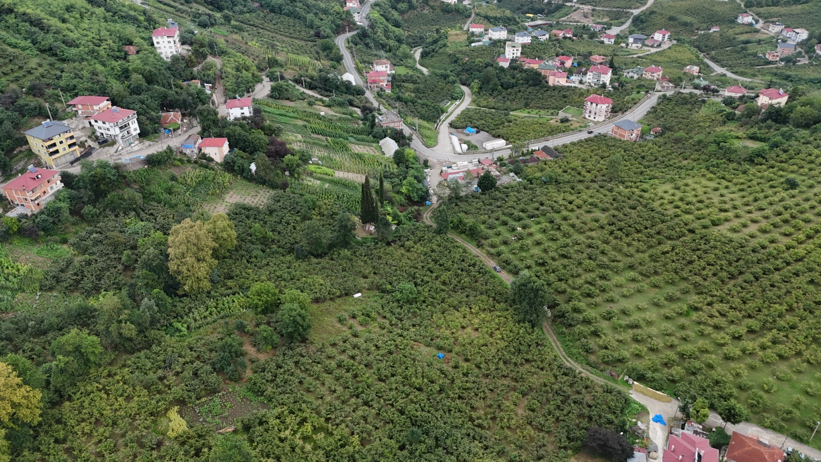GÜRBULAK / SEYRANTEPE